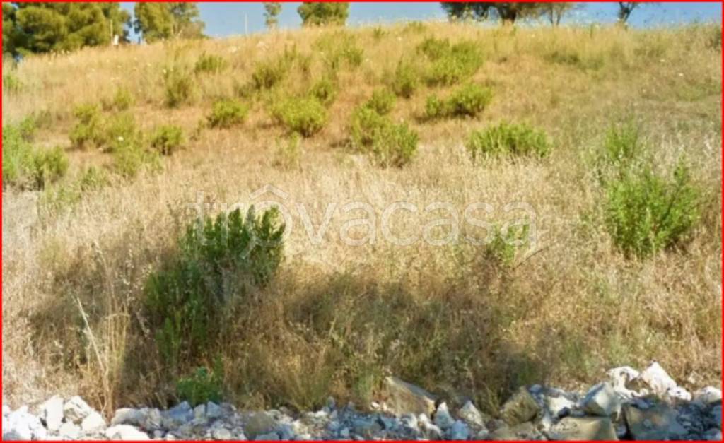 immagine annuncio 8 di 12