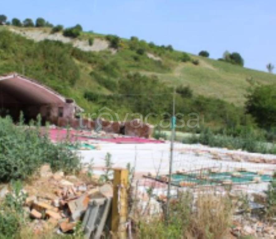 immagine annuncio 9 di 11