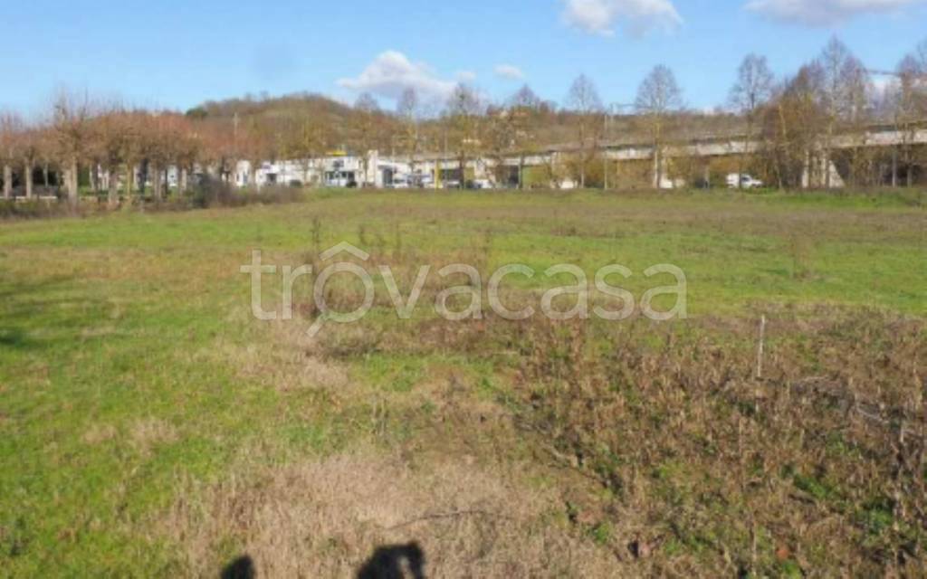 immagine annuncio 11 di 12