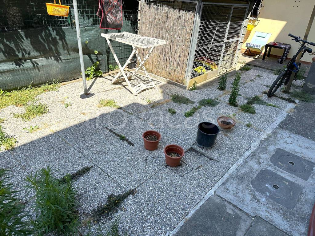 immagine annuncio 9 di 12