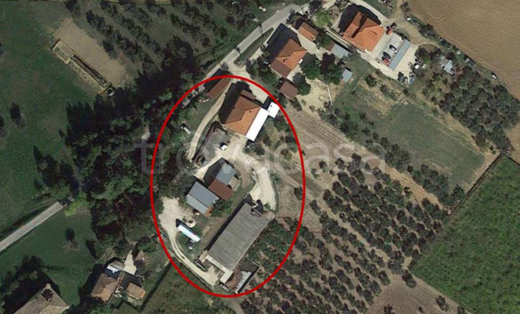 immagine annuncio 2 di 11