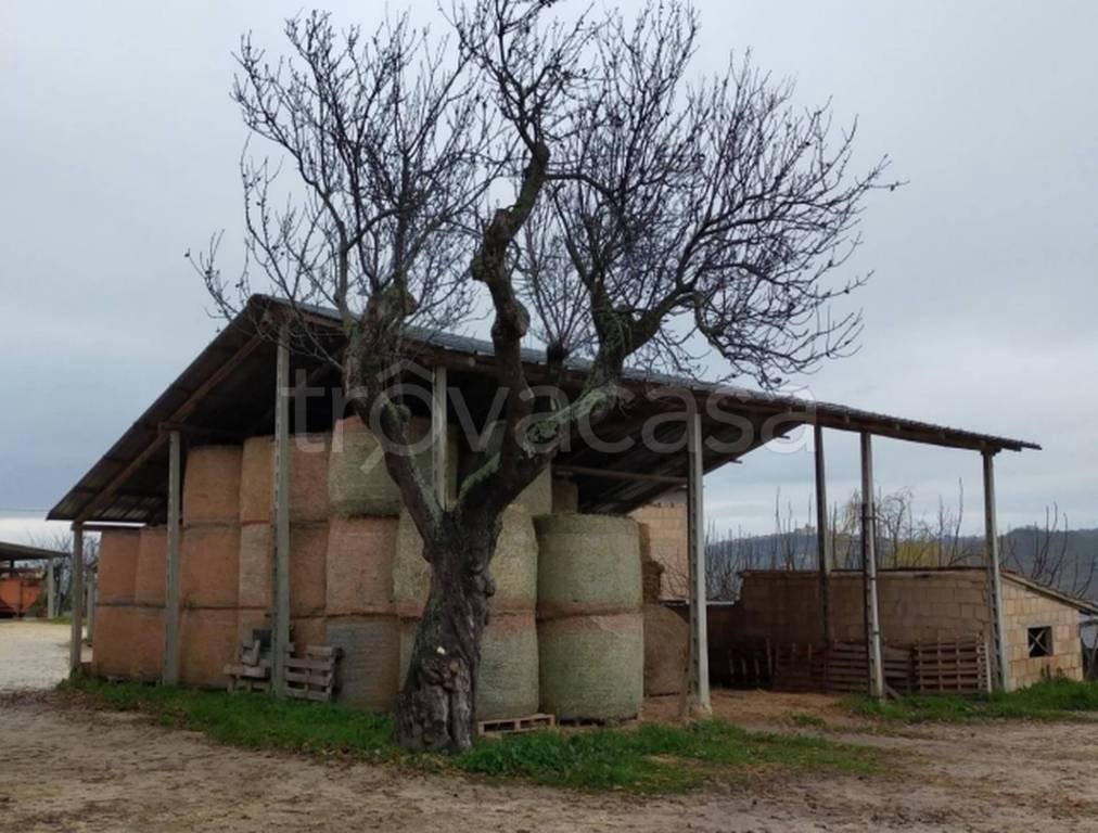 immagine annuncio 6 di 11