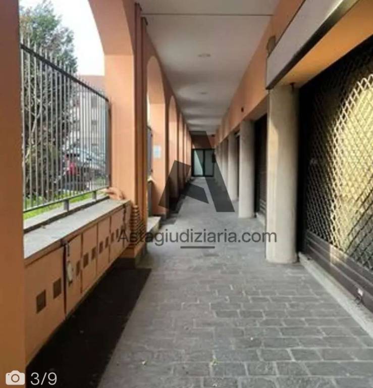 immagine annuncio 4 di 10