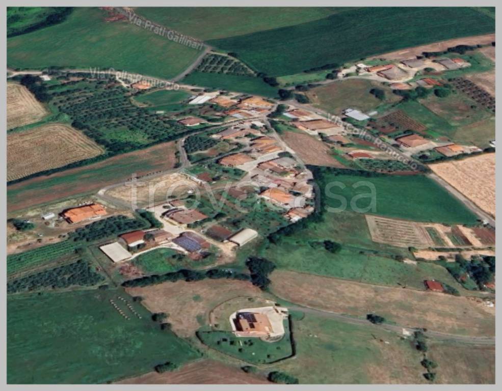 immagine annuncio 11 di 15