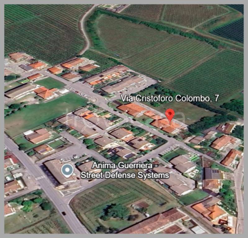 immagine annuncio 9 di 15