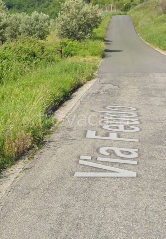 immagine annuncio 10 di 12