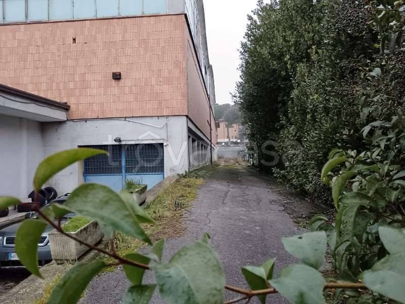 immagine annuncio 10 di 11