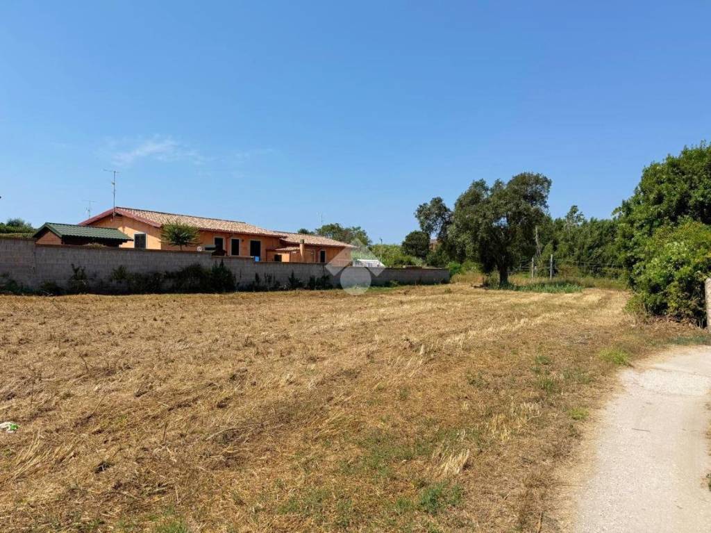 immagine annuncio 3 di 11