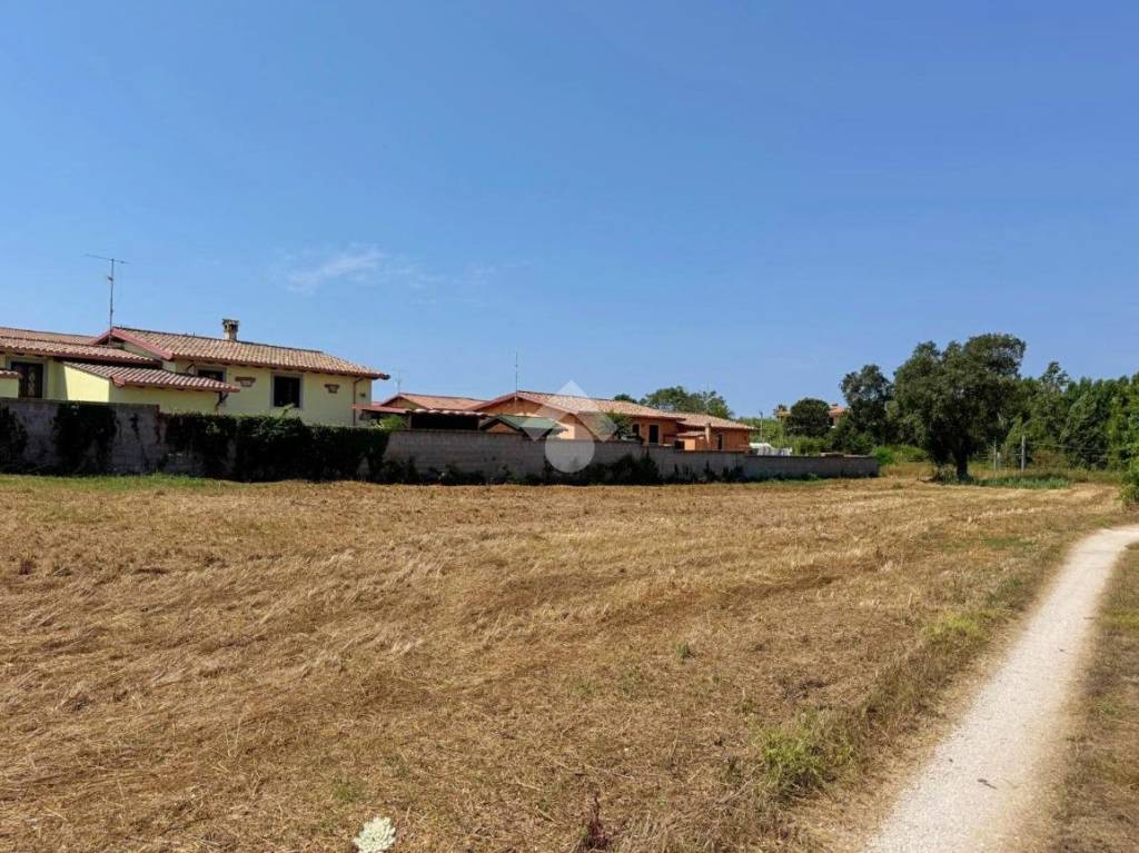immagine annuncio 6 di 11