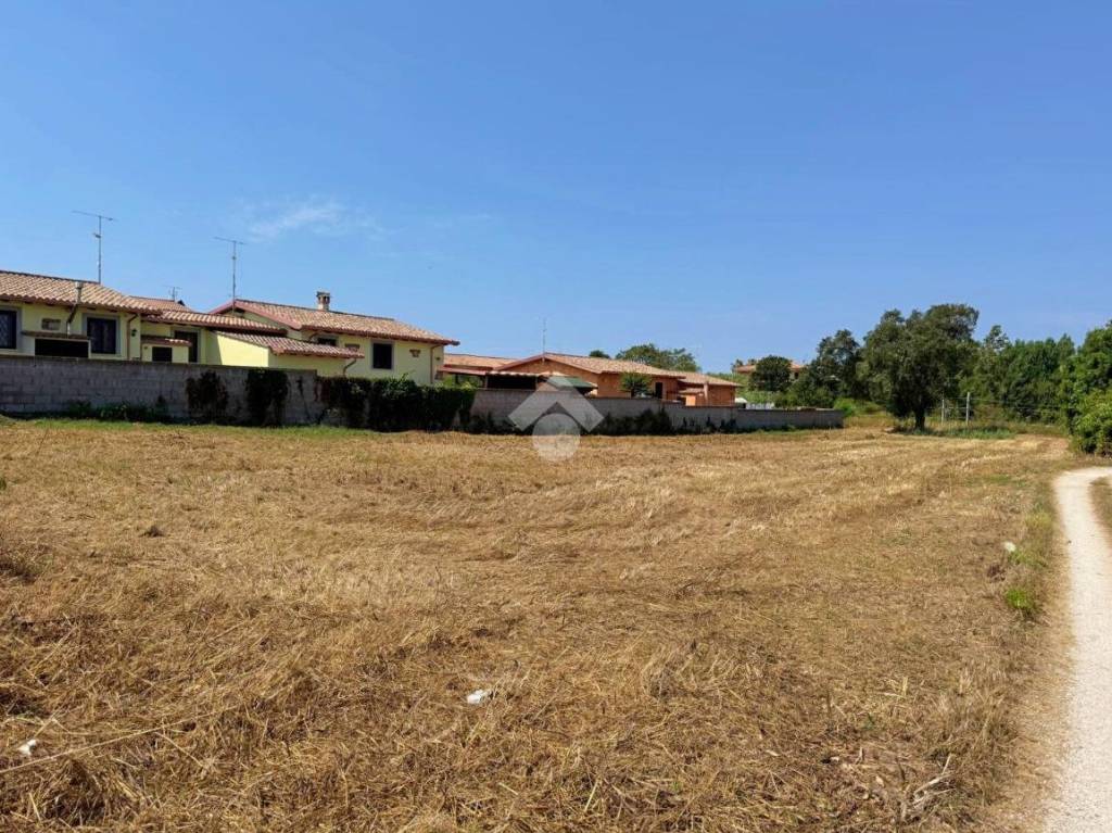 immagine annuncio 7 di 11