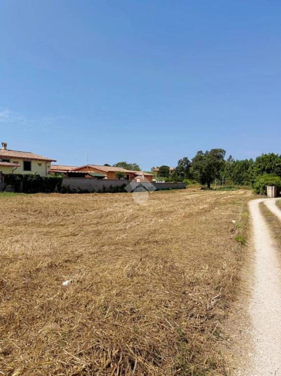 immagine annuncio 10 di 11