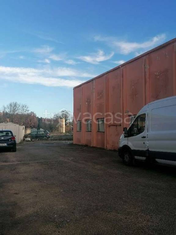 immagine annuncio 2 di 11