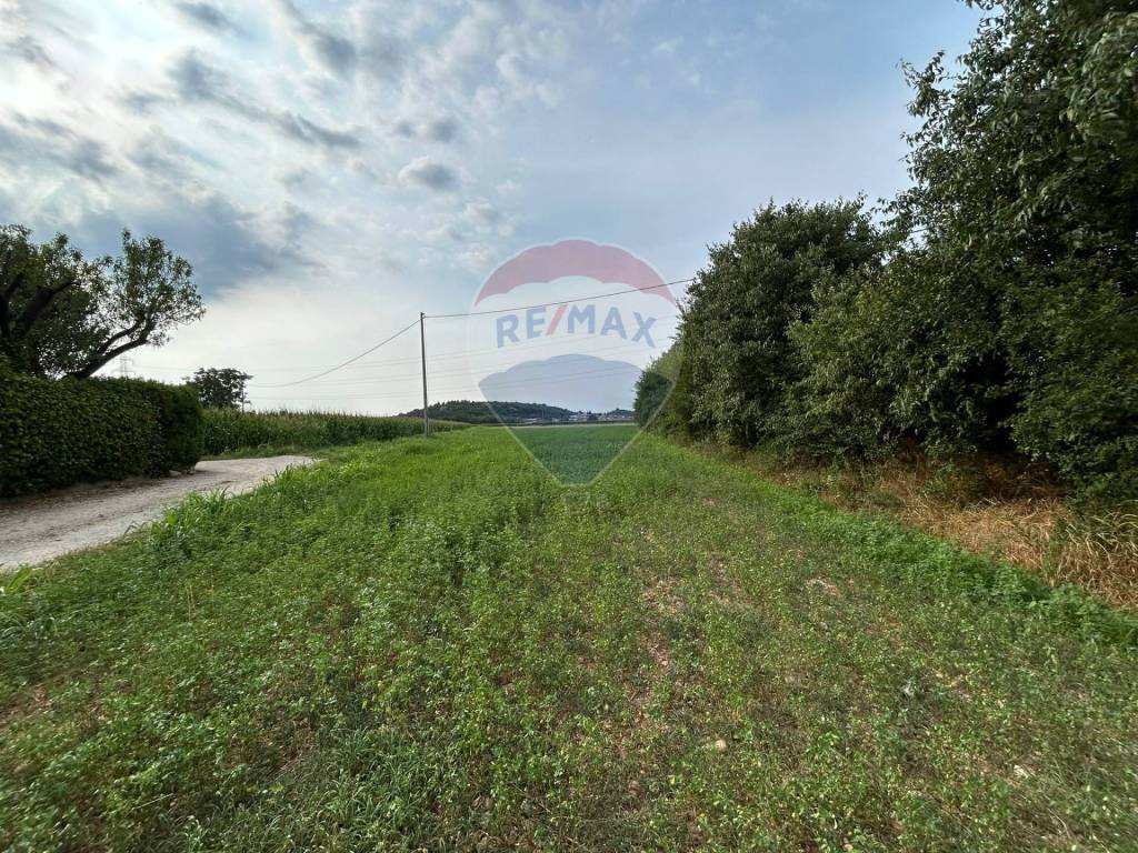 immagine annuncio 9 di 11