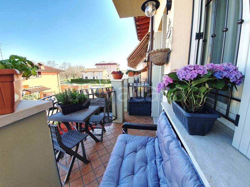 immagine annuncio 9 di 15