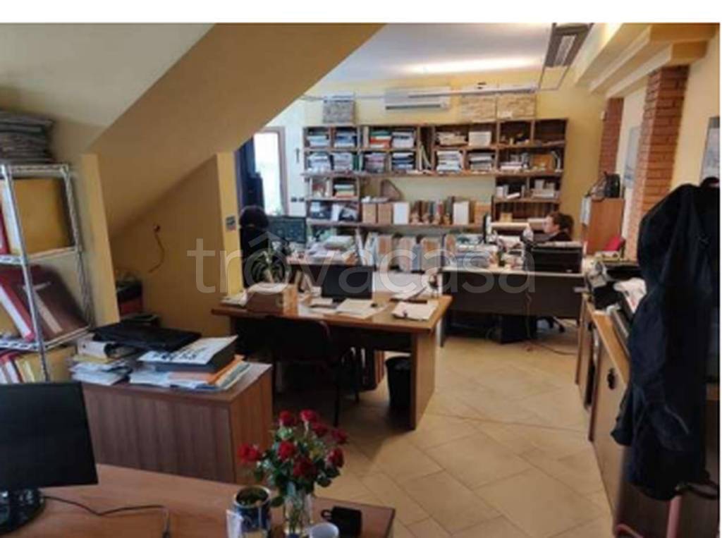 immagine annuncio 3 di 12