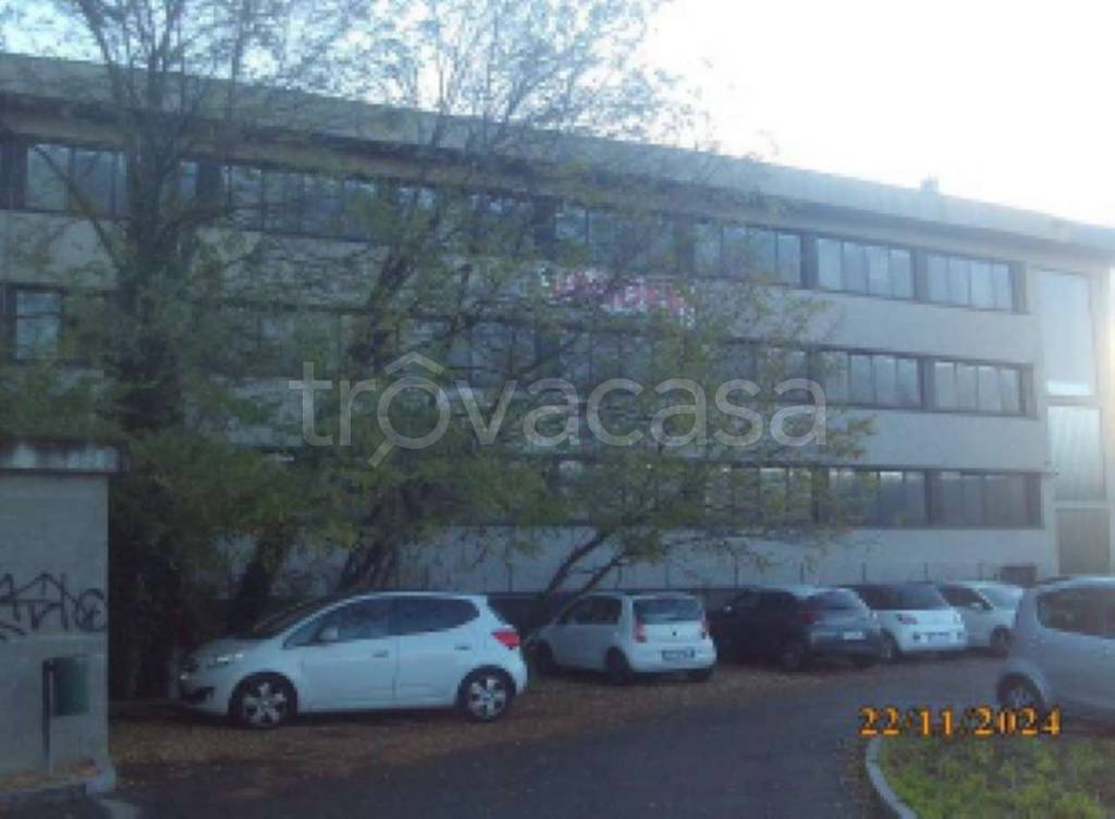 immagine annuncio 4 di 9