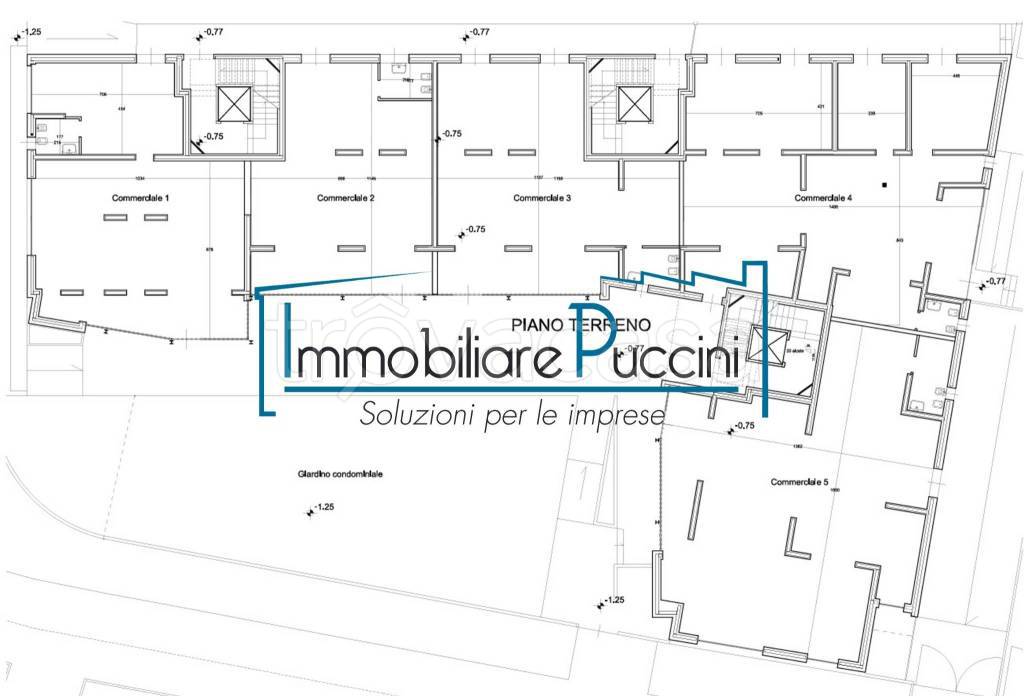 immagine annuncio 12 di 13