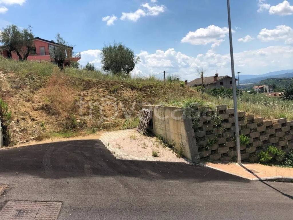 immagine annuncio 5 di 9
