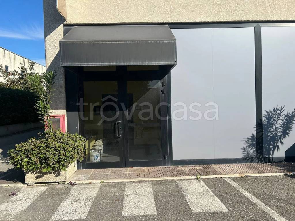 immagine annuncio 14 di 15