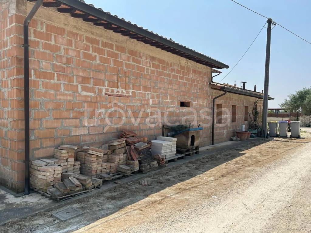 immagine annuncio 9 di 14