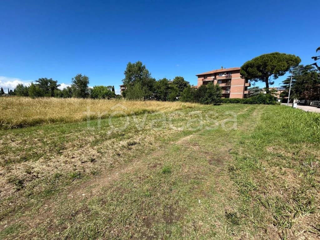 immagine annuncio 7 di 11