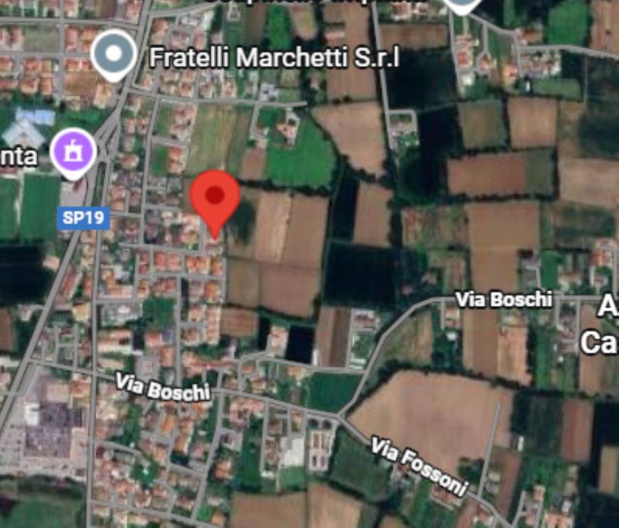 immagine annuncio 5 di 11