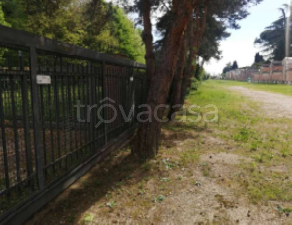 immagine annuncio 6 di 11