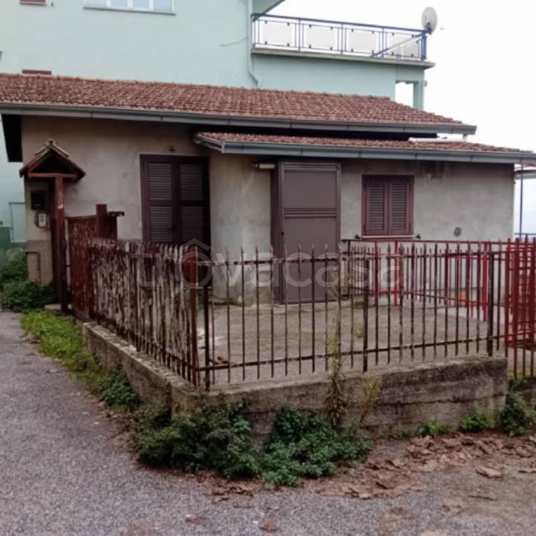 immagine annuncio 1 di 14