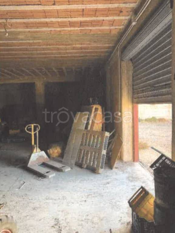 immagine annuncio 6 di 11