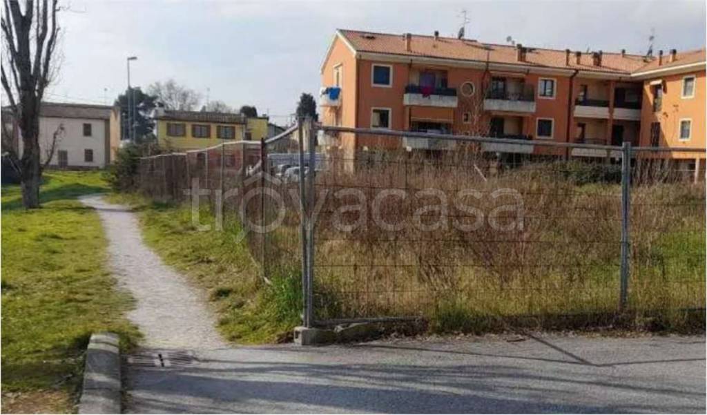 immagine annuncio 1 di 12