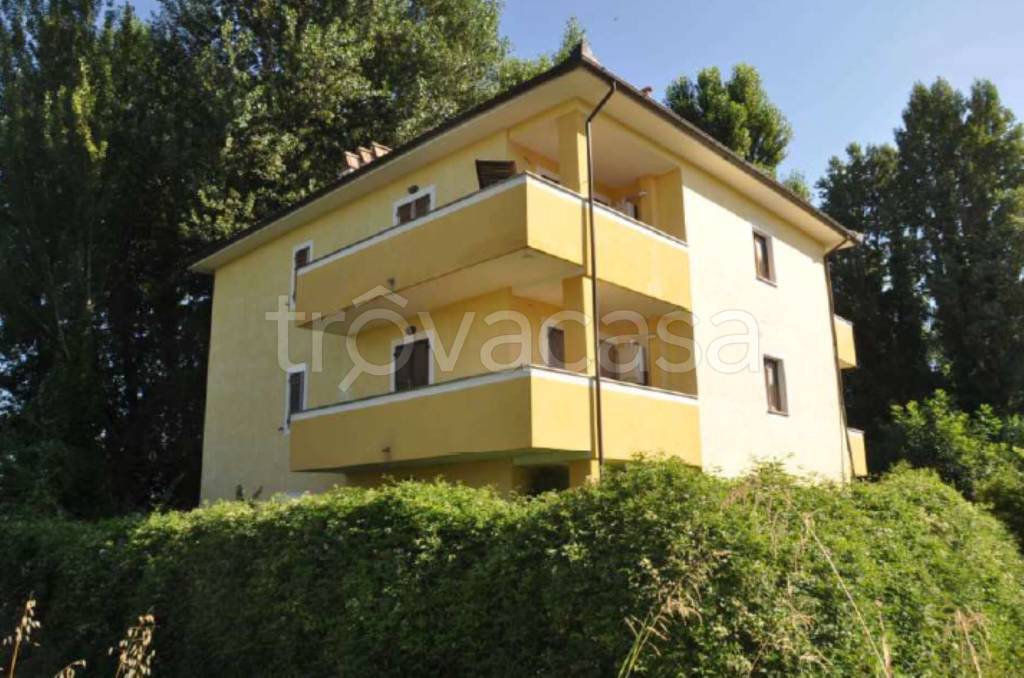 immagine annuncio 2 di 14