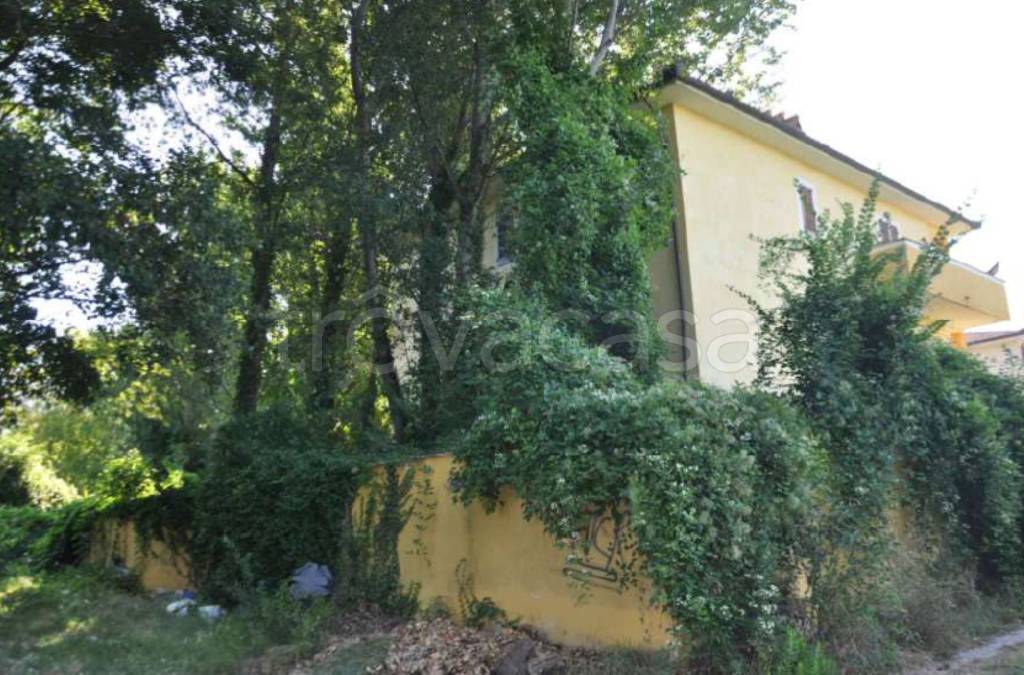 immagine annuncio 6 di 14