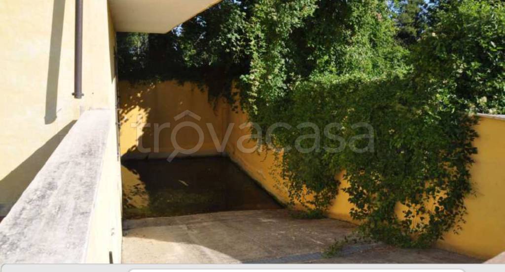 immagine annuncio 8 di 14