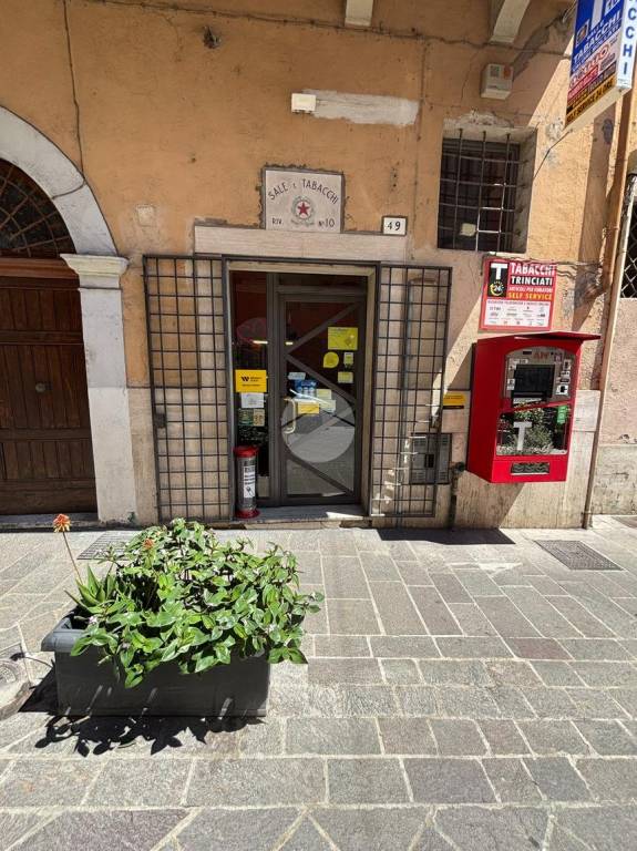 immagine annuncio 2 di 14