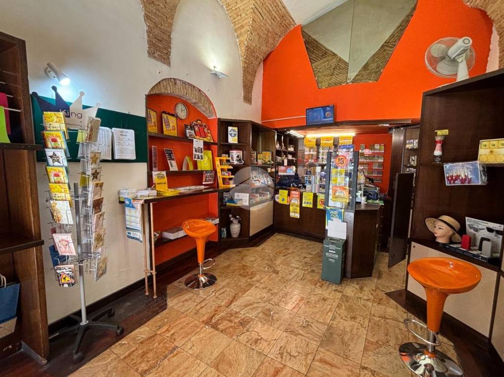 immagine annuncio 9 di 14