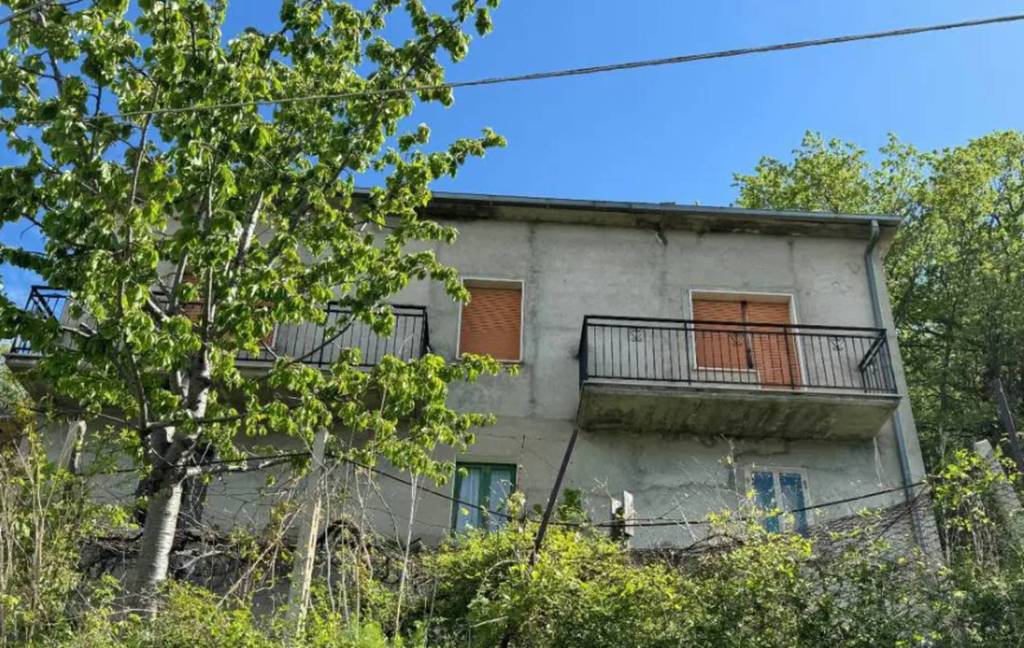 immagine annuncio 8 di 12