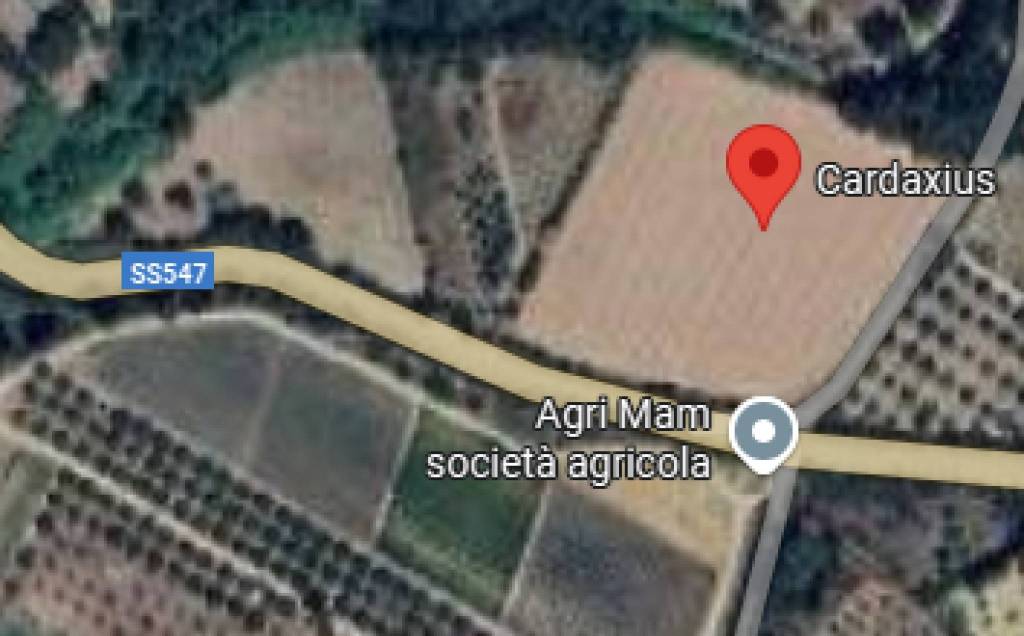 immagine annuncio 9 di 11