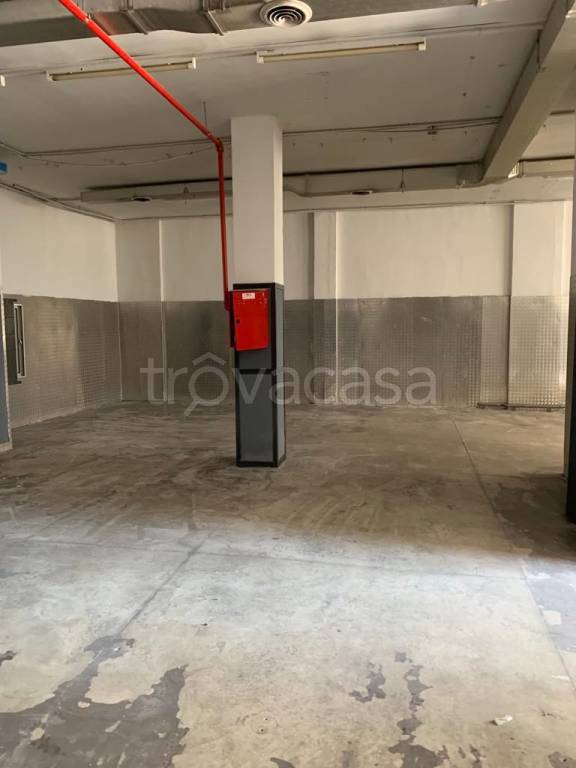 immagine annuncio 9 di 14