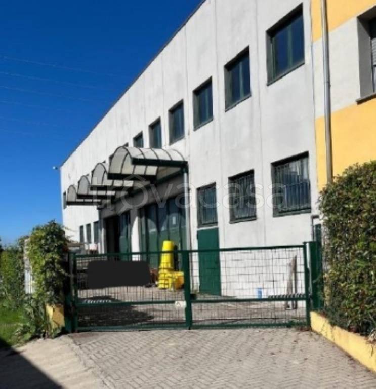 immagine annuncio 11 di 12