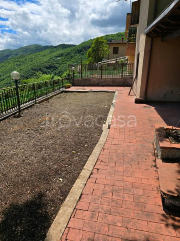 immagine annuncio 3 di 11