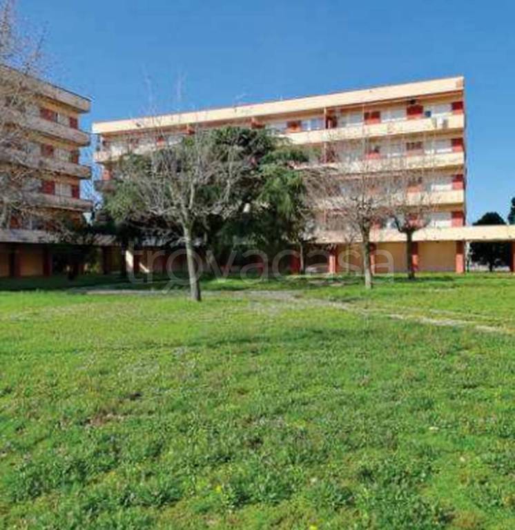immagine annuncio 6 di 11