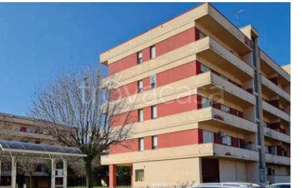 immagine annuncio 10 di 11