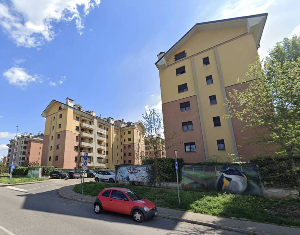 immagine annuncio 2 di 15