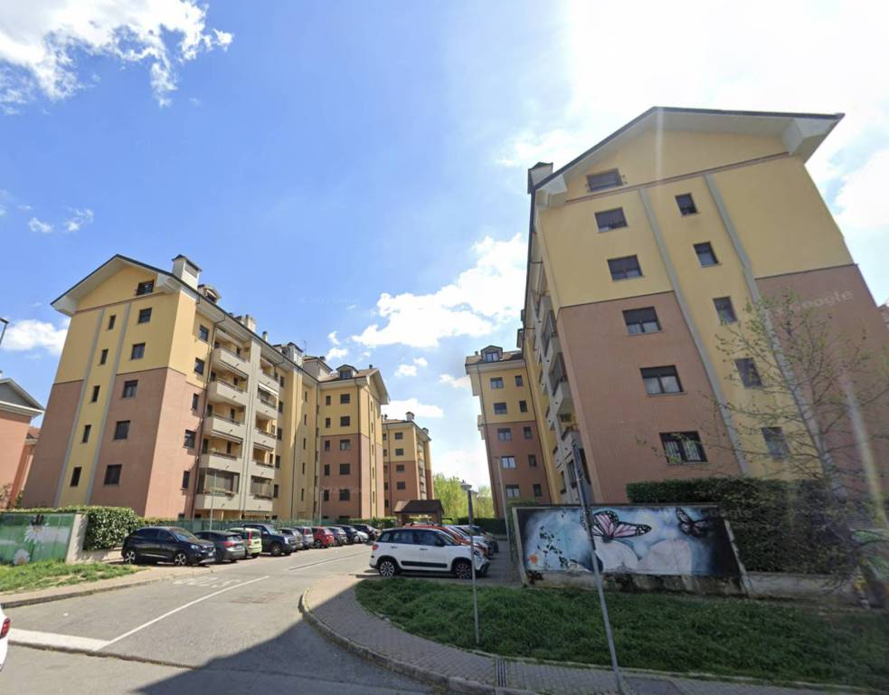 immagine annuncio 10 di 15