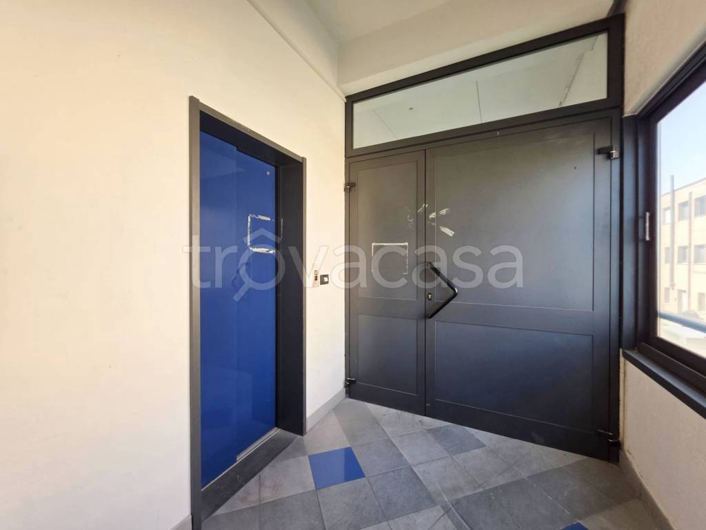 immagine annuncio 9 di 14