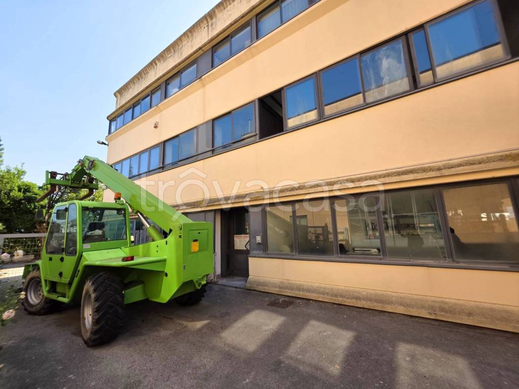 immagine annuncio 10 di 14