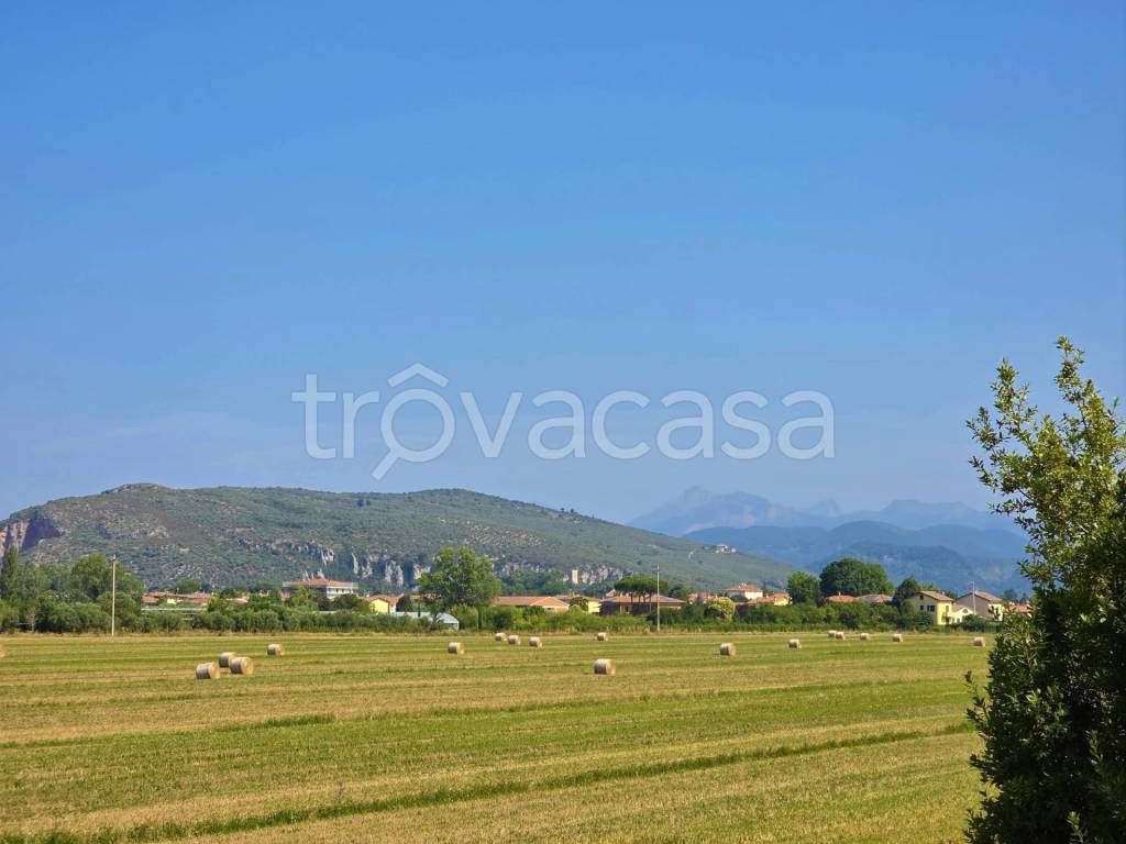 immagine annuncio 11 di 14