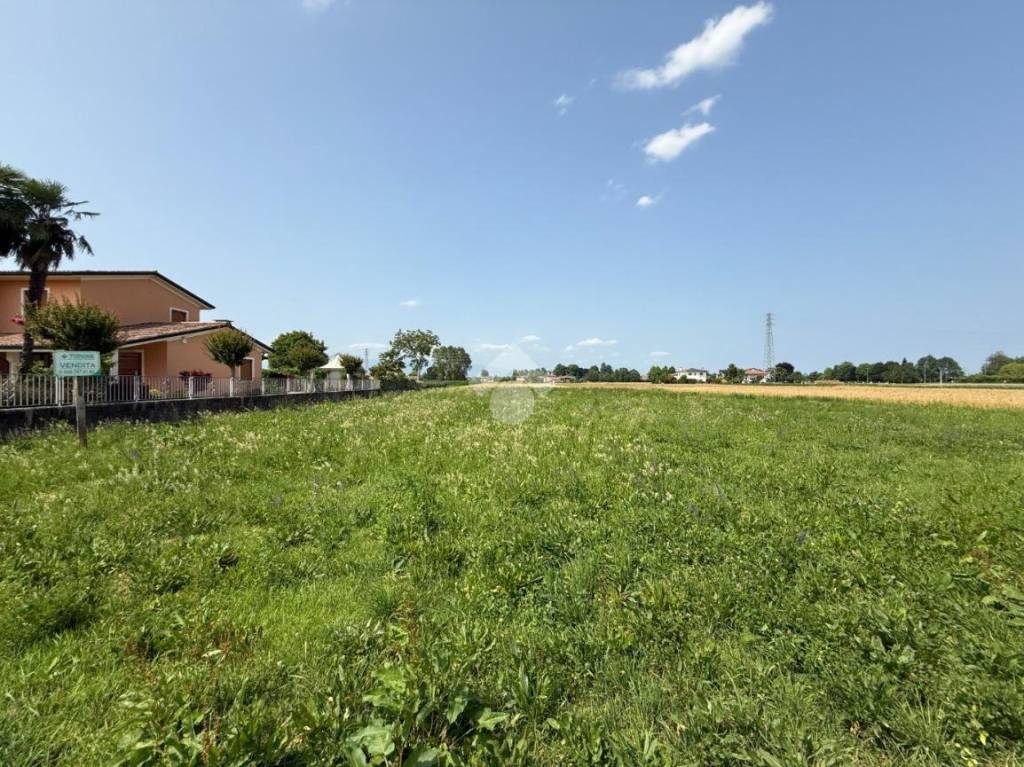 immagine annuncio 1 di 2