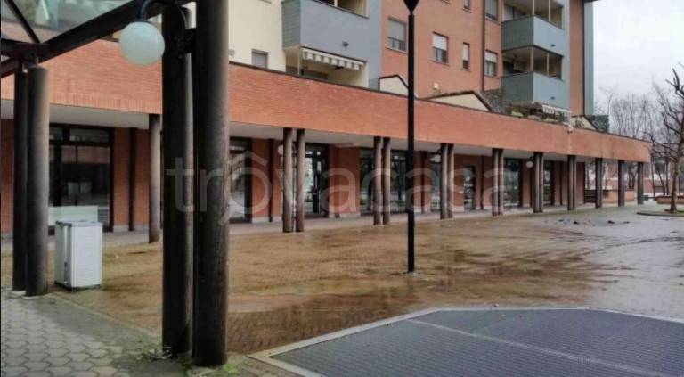 immagine annuncio 3 di 9