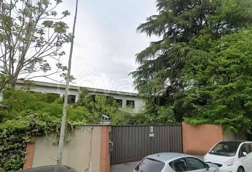 immagine annuncio 2 di 9